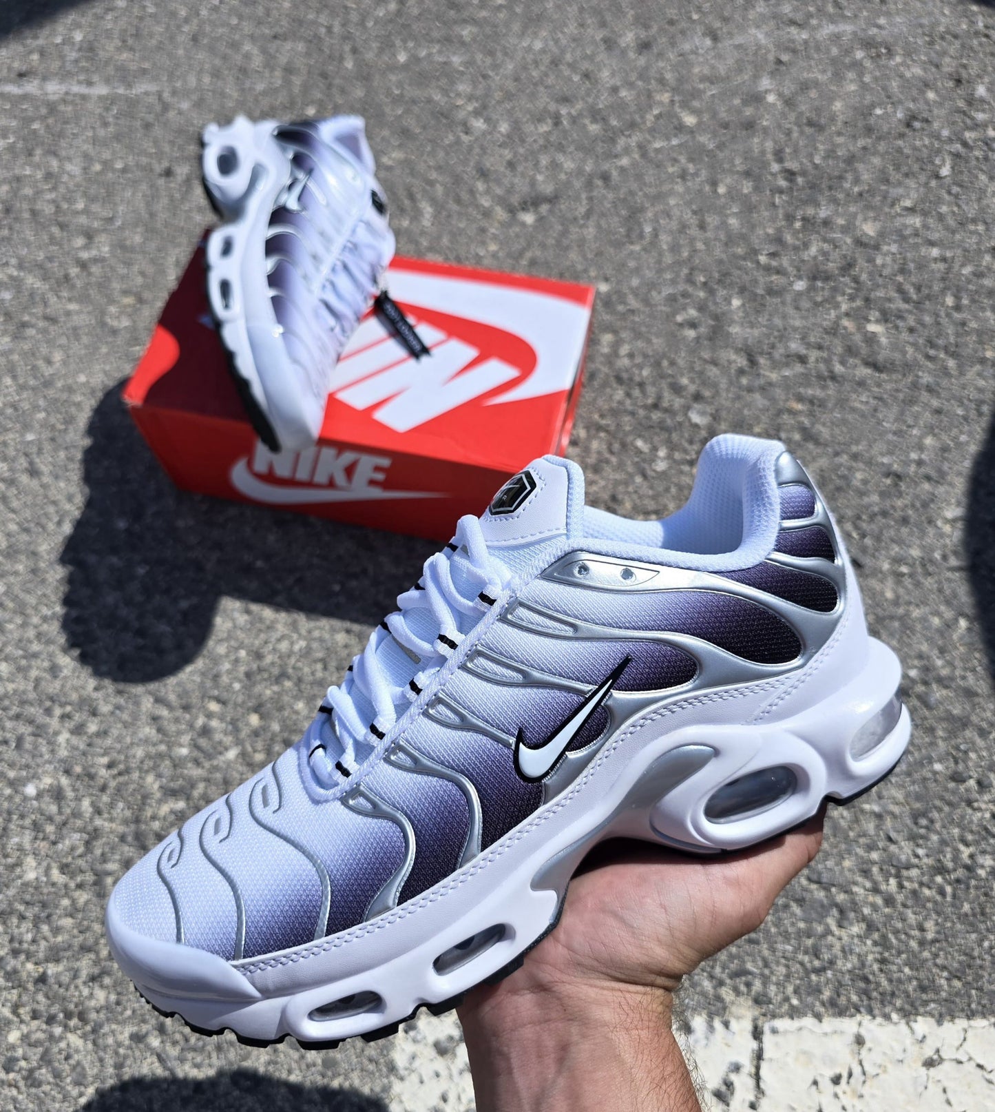 TN blanca gris plata